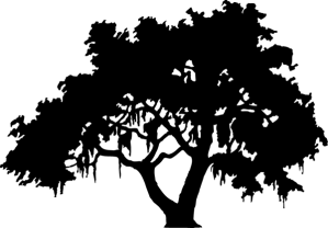 Live-oak-tree-silhouette
